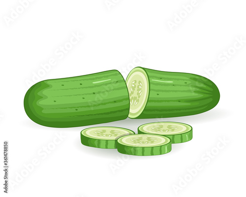 cucumber vector illustration with cucumber pieces on  white background
