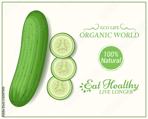 cucumber vector illustration form top angle on white background