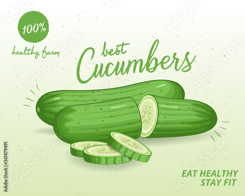 cucumber vector illustration on light green background