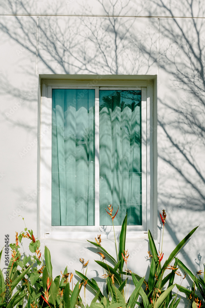 Modern Window And Sunight Curtain