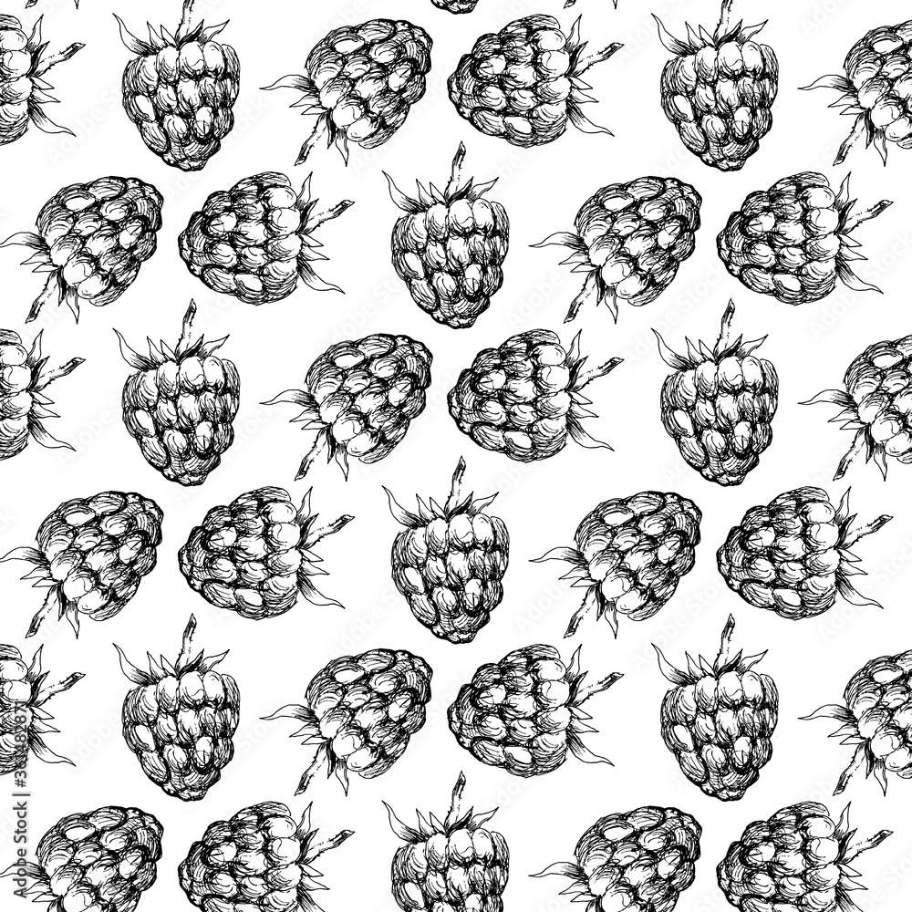 Raspberry seamless pattern for your design. Vector illustration Raspberry seamless pattern for your design. Vector illustration