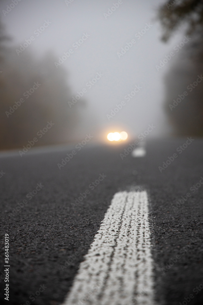 Fototapeta premium Car on the road in the fog. Autumn landscape.