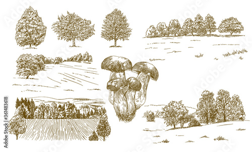 Rural landscape. Hand drawn set.