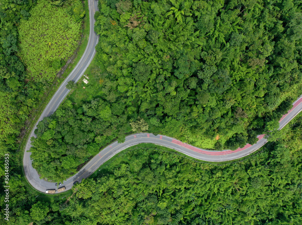 Road winding through forest from aerial drone 