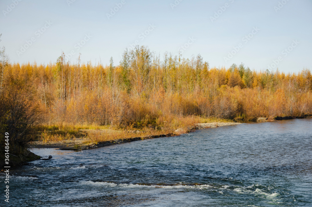river in autumn forest river in autumn forest