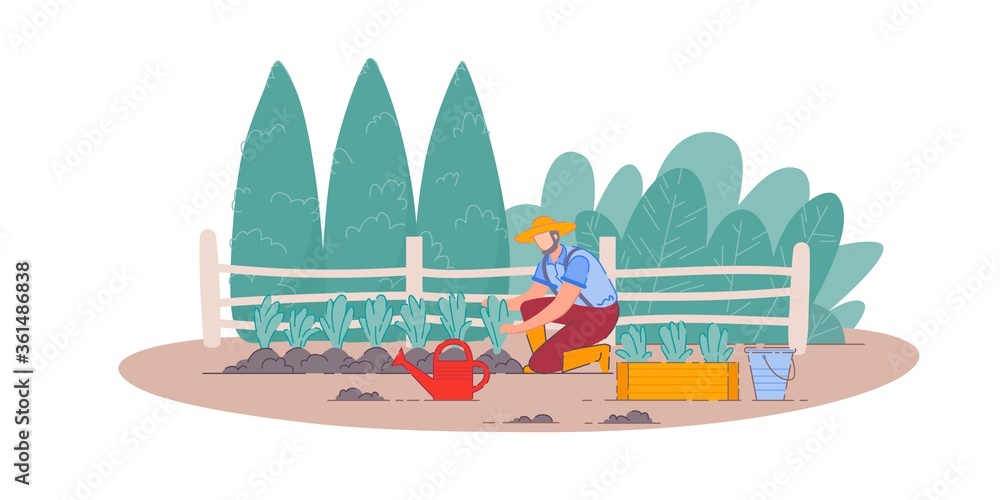 Planting vegetables. Isolated gardener man person cartoon character farming, gardening and planting vegetables in farm garden. Vector agriculture and nature concept