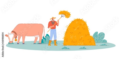 Farmer making farm hay. Isolated person cartoon character making haystack with pitchfork and cow on field. Farmer man making farm hay harvest. Vector countryside agriculture, rural farmland