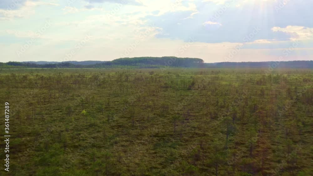 Flying over a bog with sunshine and a forest in the background Flying over a bog with sunshine and a forest in the background