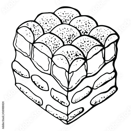 Italian dessert tiramisu. Line art. White background, isolate. Stock illustration.