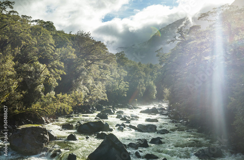 New Zealand river photo