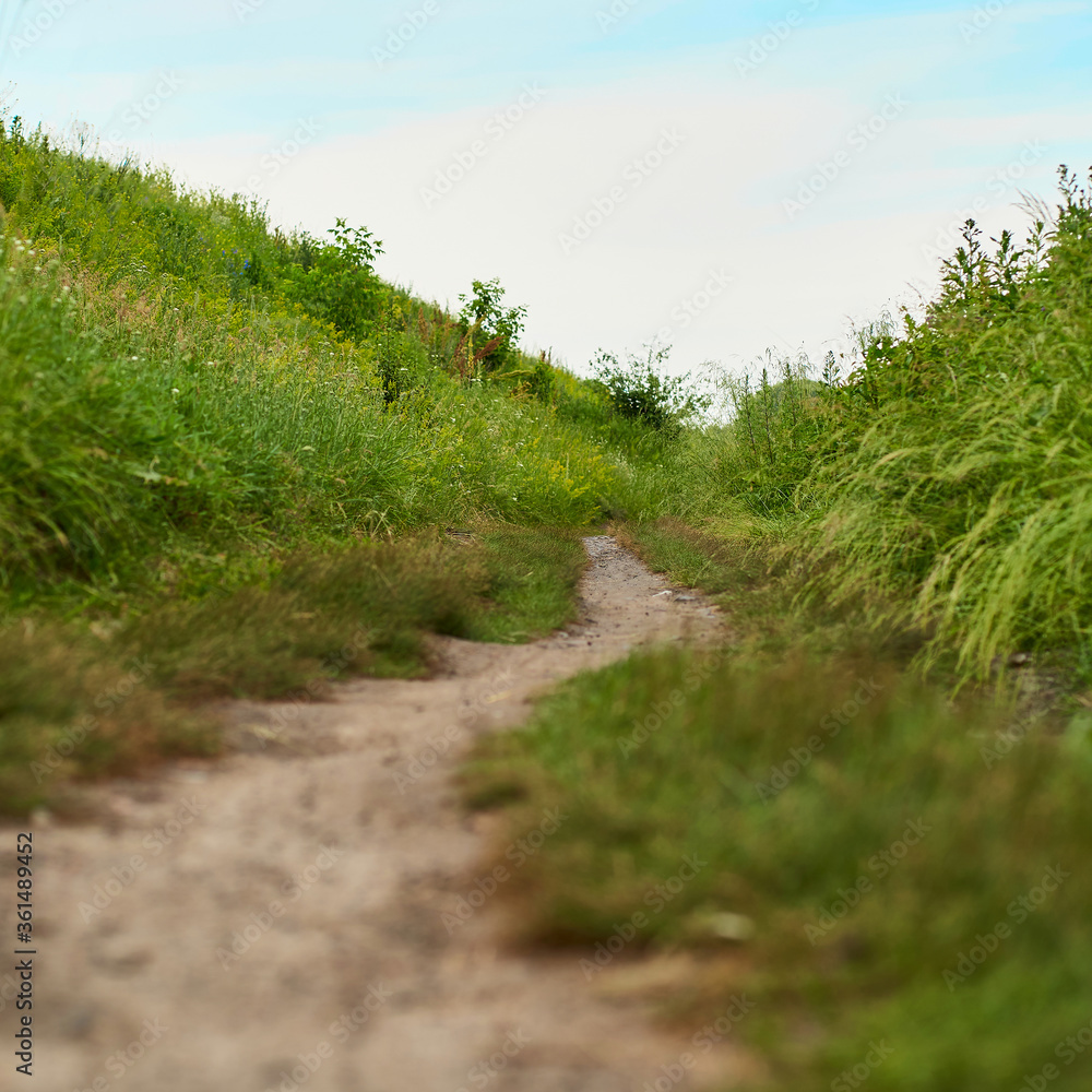 A square photo of the landscape of a rural road that goes into the distance against the background of blue sky and beautiful dense greenery A square photo of the landscape of a rural road that goes into the distance against the background of blue sky and beautiful dense greenery