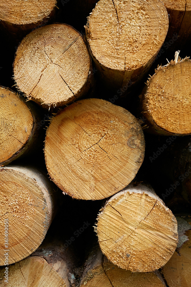 fire logs ready to be delivered fire logs ready to be delivered