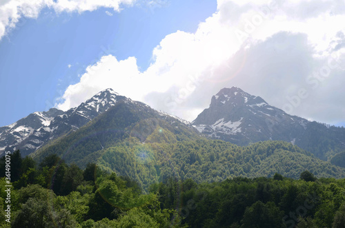 Snow-capped mountains in the forest on a clear summer day.
