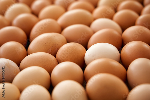 Fresh country eggs. Natural food  environmentally friendly products.