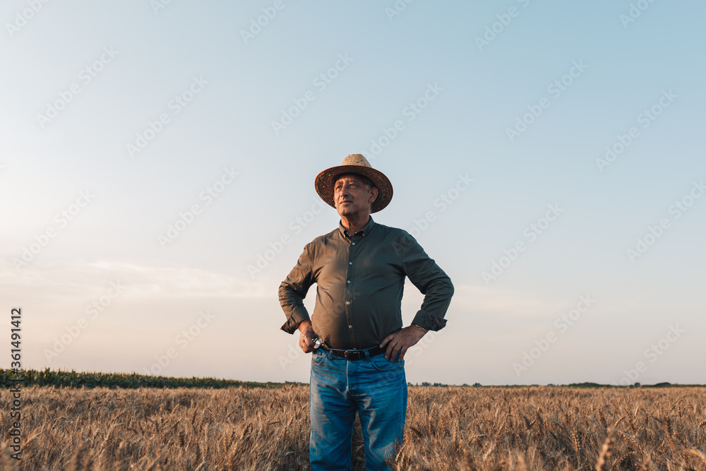 Portrait of senior farmer with hat standing in wheat field at sunset. Portrait of senior farmer with hat standing in wheat field at sunset.