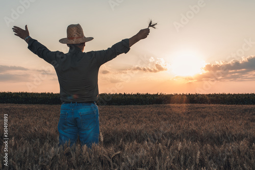 Rear view of senior farmer with hat standing in wheat field at sunset with his arms outstretched.
