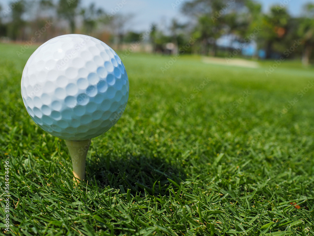 Tee with a white golf ball on the green field outdoor That awaits golfers befriends Tee with a white golf ball on the green field outdoor That awaits golfers befriends