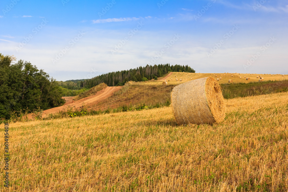 Countryside landscape with straw bales on harvest fields