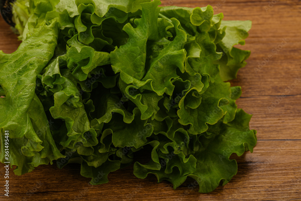 Green lettuce salad heap leaves Green lettuce salad heap leaves
