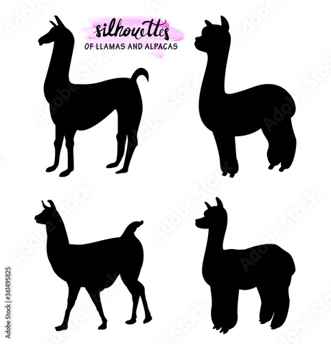 set of silhouettes of llamas and alpacas isolated on white realistic