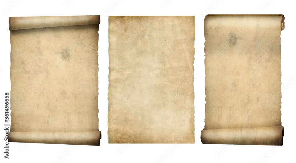 Set of scroll and parchment isolated on white. Vintage paper texture 3d illustration.