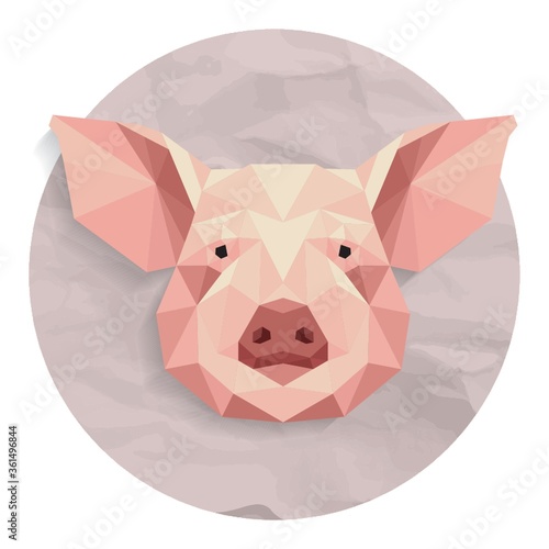 Pig