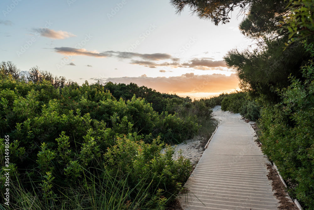 path to the sea at sunset