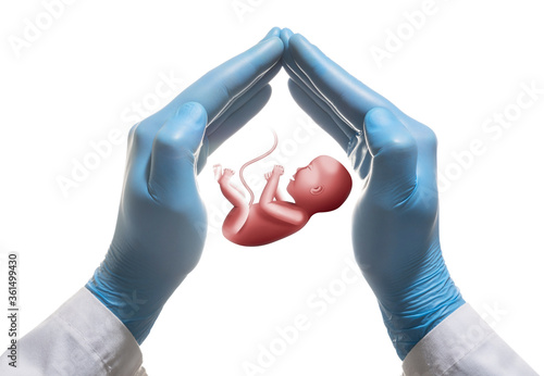 Embryo between two palms on white isolated background. In vitro fertilization. Concept photo