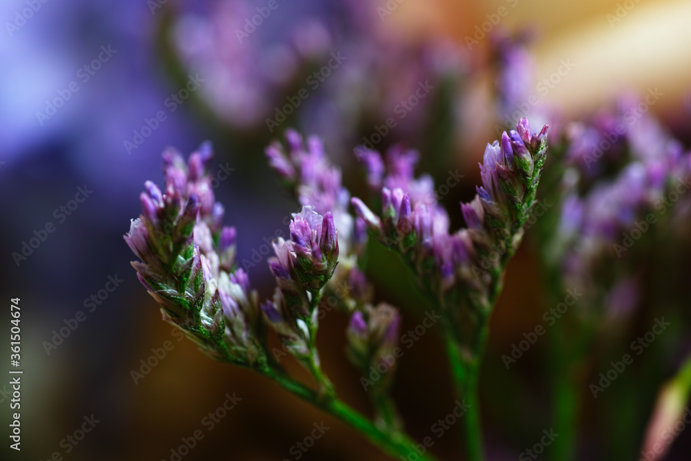 Obraz premium Florist composition.