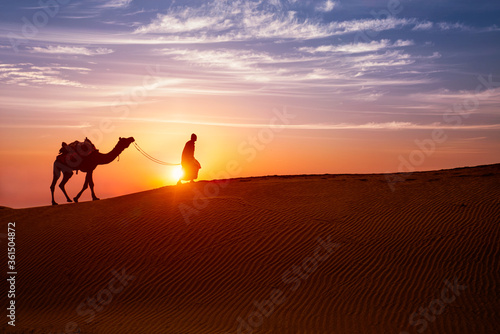 Indian cameleer  camel driver  bedouin with camel silhouettes in sand dunes of Thar desert on sunset. Caravan in Rajasthan travel tourism background safari adventure. Jaisalmer  Rajasthan  India