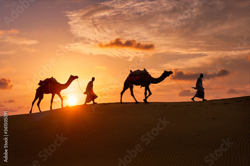 Indian cameleers (camel driver) bedouin with camel silhouettes in sand dunes of Thar desert on sunset. Caravan in Rajasthan travel tourism background safari adventure. Jaisalmer, Rajasthan, India © Dmitry Rukhlenko