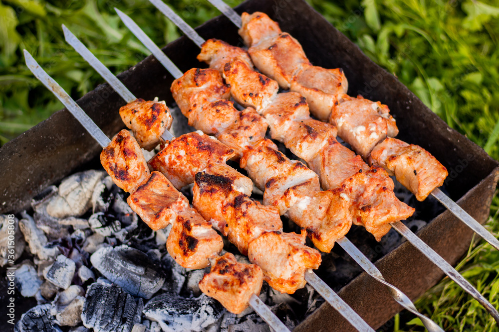 meat is fried on coals. Camping, barbecue meat is fried on coals. Camping, barbecue