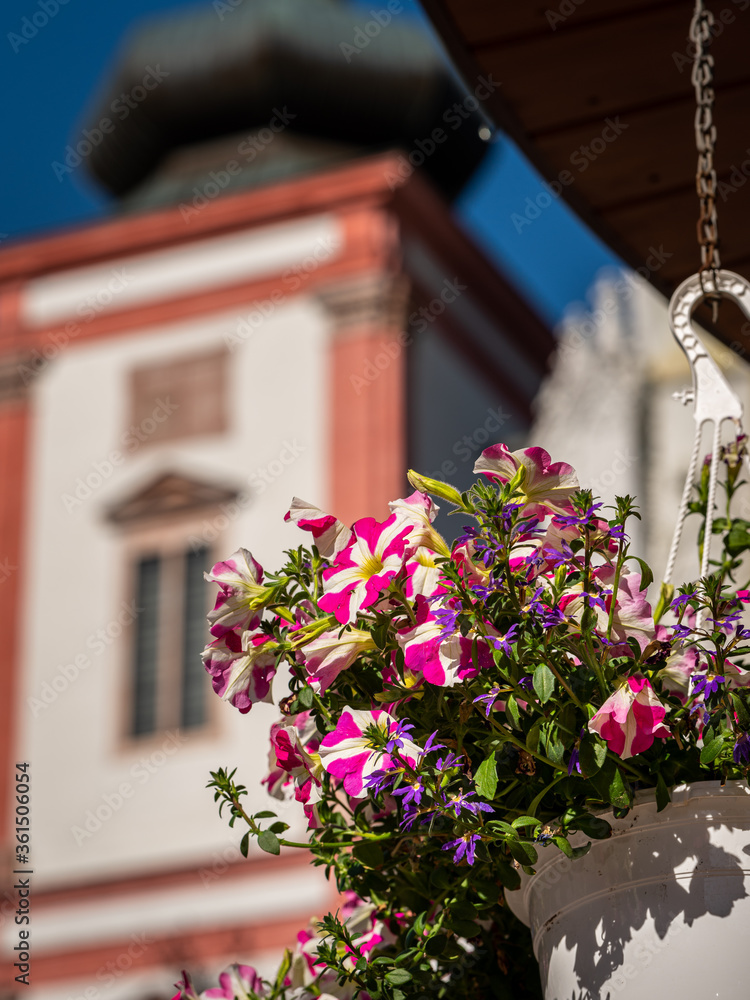 Naklejka premium Flowers in front of Basilica of the Birth of the Virgin Mary in Mariazell