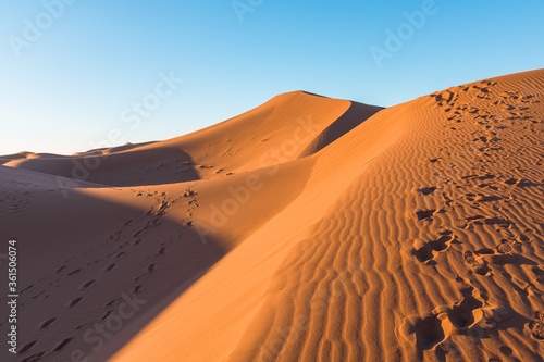 Fototapeta Naklejka Na Ścianę i Meble -  Closeup of sand ripples and tracks on sand dunes in a desert against  clear blue sky