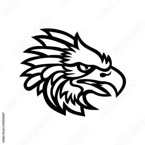  Head of an American Harpy Eagle Side View Mascot Black and White