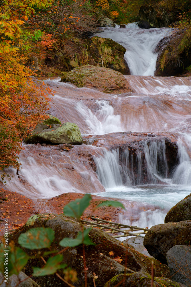 Fototapeta premium カラフルな秋の森の中を流れる滝のある流れ -日本、長野県、おしどり隠しの滝