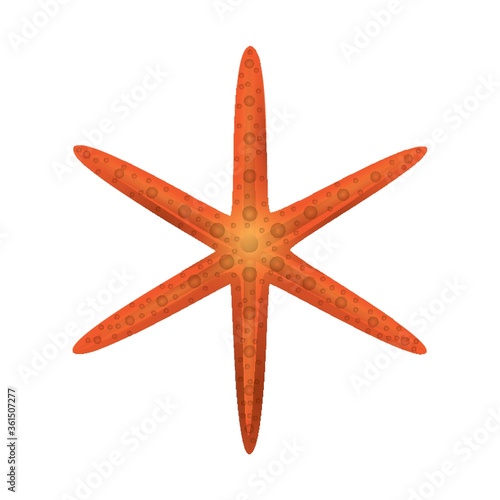Starfish