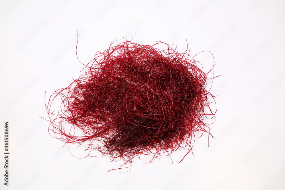 Fototapeta premium Corn silk of Siam Ruby Queen on white background