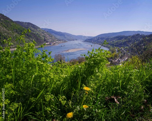 Zu sehen hier sind die Landschaft von Bacharach und Rhein. Die Kirche ist die St. Peter und auch die Wernerkapelle ist zu sehen.