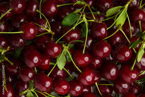 Ripe cherry, a lot of berries as a background texture close-up