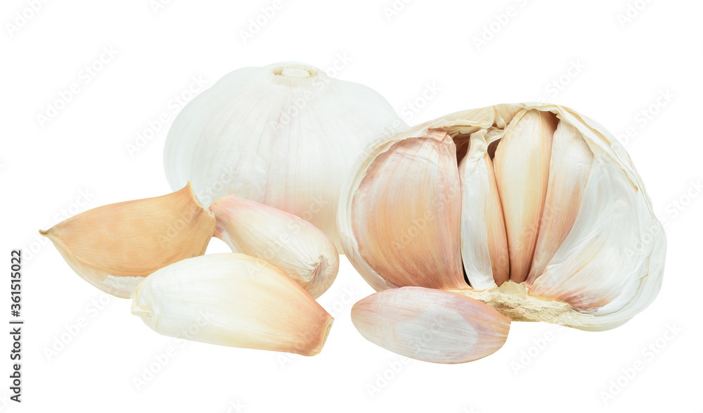 Fresh Garlic on white background Fresh Garlic on white background