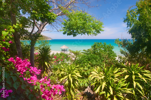 Scenic view of the turquoise sea through the branches of tropical trees and flowers. Vietnam