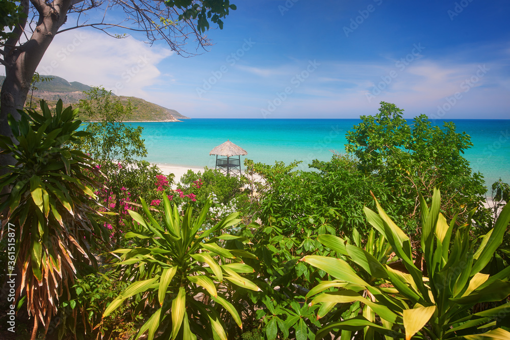 Scenic summer view of the turquoise sea through the branches of tropical trees and flowers.