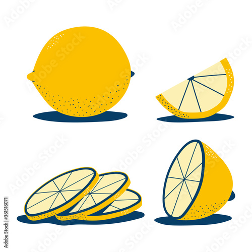 Lemon whole and sliced vector set isolated on white background.