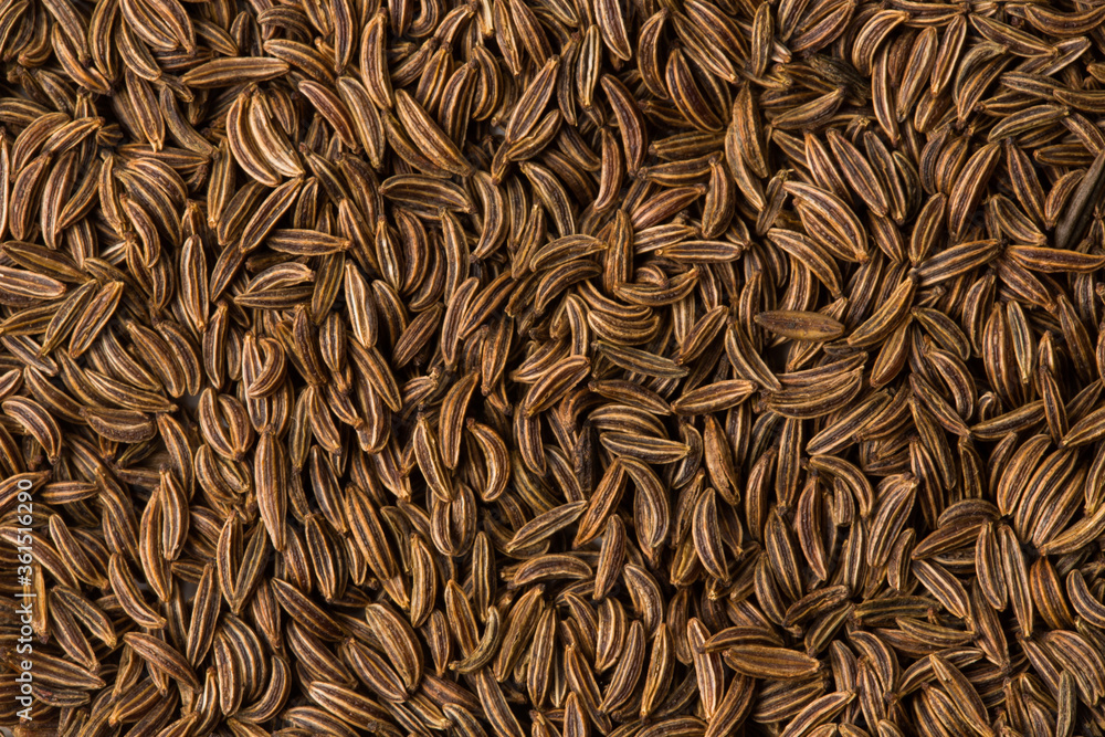Cumin, fennel spice as background texture close-up. Macro