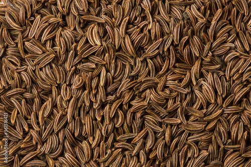 Cumin, fennel spice as background texture close-up. Macro