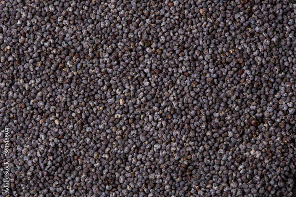 Poppy seeds as a background texture. Macro Poppy seeds as a background texture. Macro