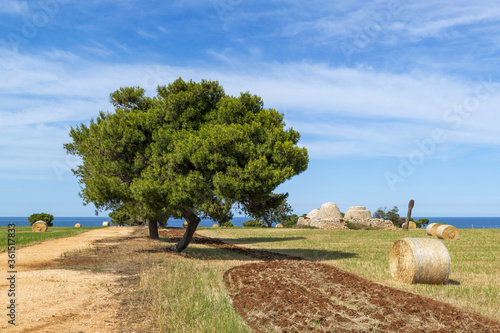 Paysage de campagne en Italie sur la côte adriatique