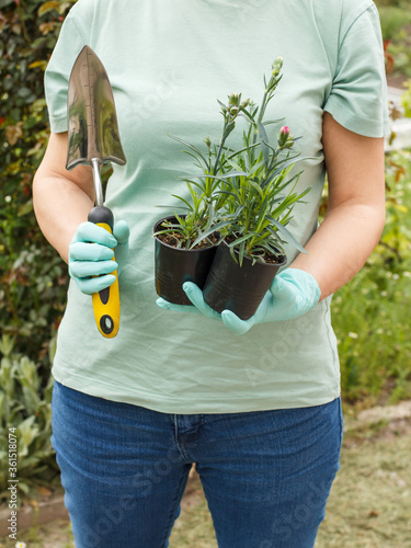 Woman holding cans with seedling of young cloves.
