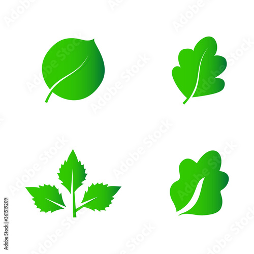 Abstract leaf icon set isolated on white background. Collection of leaf icons for symbol  logo  sign  label and app. Creative art concept. Vector illustration  flat leaves